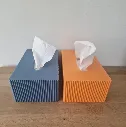IMG-20260212-WA0011kopie.webp